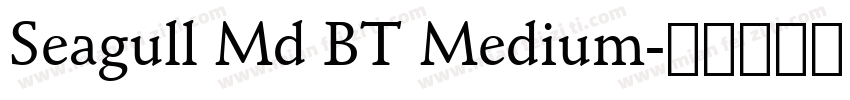 Seagull Md BT Medium字体转换